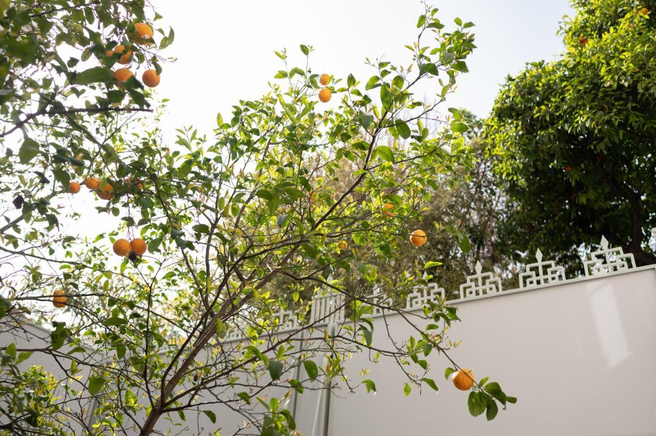 Casa Blue Dove Apartment Chania  Ngoại thất bức ảnh